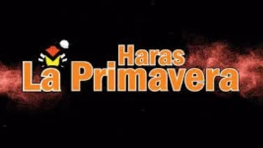 Haras La Primavera se lleva el segundo meeting con facilidad en La Rinconada  