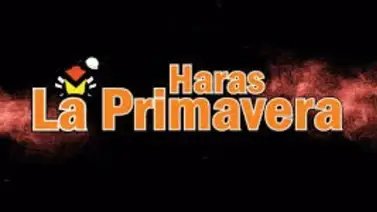 Haras La Primavera se lleva el segundo meeting con facilidad en La Rinconada Haras La Primavera se lleva el segundo meeting con facilidad en La Rinconada