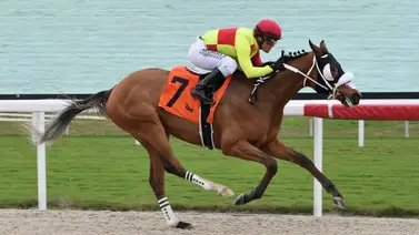 Javier Castellano consiguió sus dos primeras victoria de la semana Javier Castellano consiguió sus dos primeras victoria de la semana