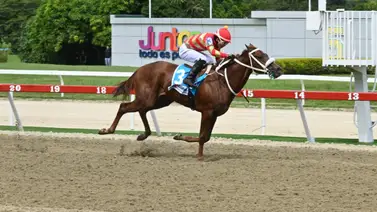 Hermana completa del ganador selectivo Snujake hace su estreno este domingo en La Rinconada Hermana completa del ganador selectivo Snujake hace su estreno este domingo en La Rinconada