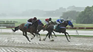 La yegua que sufrió tropiezos en su última salida regresa con sed de victoria luego de 280 días para la R34 La yegua que sufrió tropiezos en su última salida regresa con sed de victoria luego de 280 días para la R34