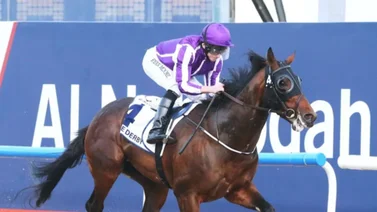 Linaje de campeón: Hija de un ganador del UAE Derby (G2) debuta el domingo en La Rinconada