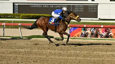 Yegua que fue capaz de ganarse a Take A Step regresa a la cancha y en una distancia que ya ganó Yegua que fue capaz de ganarse a Take A Step regresa a la cancha y en una distancia que ya ganó