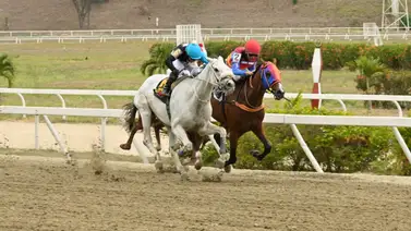 La mejor atropellada de 2024 busca repetir la hazaña en La Rinconada este domingo La mejor atropellada de 2024 busca repetir la hazaña en La Rinconada este domingo