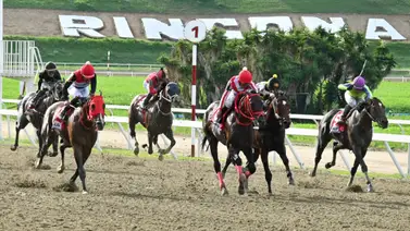 Estrellas en formación: Estos ejemplares también marcarán el debut en la reunión 34 Estrellas en formación: Estos ejemplares también marcarán el debut en la reunión 34