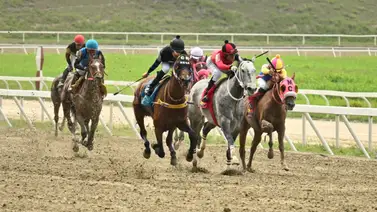 Todo lo que tienes que saber sobre el dato atrasado que corre una vez más en el 5y6 de La R34 Todo lo que tienes que saber sobre el dato atrasado que corre una vez más en el 5y6 de La R34