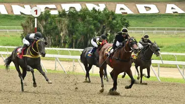 La espera terminó y este potro importado vuelve a La Rinconada después de 49 días sin correr La espera terminó y este potro importado vuelve a La Rinconada después de 49 días sin correr