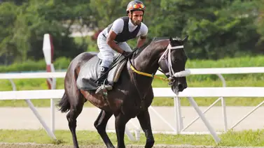 El plan de Yonkleiver Díaz: Una línea y dos caballos de cuidado para la jornada del domingo en La Rinconada (+Video) El plan de Yonkleiver Díaz: Una línea y dos caballos de cuidado para la jornada del domingo en La Rinconada (+Video)