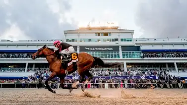 Este viernes abre el Sunshine Meet de Gulfstream Park Este viernes abre el Sunshine Meet de Gulfstream Park