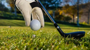 Mira cómo una mosca ayudó al golfista Tommy Fleetwood a ganar millones de dólares (+Video)