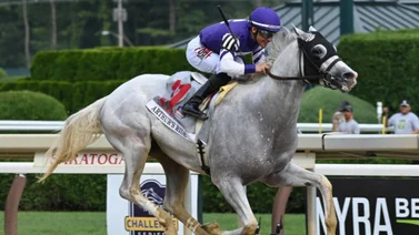 El campeón dice adiós: Conoce la razón del retiro de este ejemplar ganador del Whitney Stakes (G1) 2024