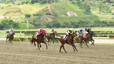 Luego de un buen ajuste en La Rinconada, este ejemplar intentará conseguir su primera victoria en su quinta salida Luego de un buen ajuste en La Rinconada, este ejemplar intentará conseguir su primera victoria en su quinta salida