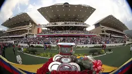 Gaceta Hípica TV: Los mejores pronósticos nacionales en internacionales (EN VIVO)