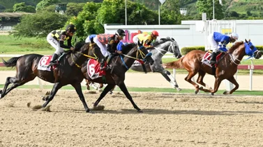El final de la espera: Este caballo tiene nueve meses sin ganar, pero ahora gusta para sorprender en la R34