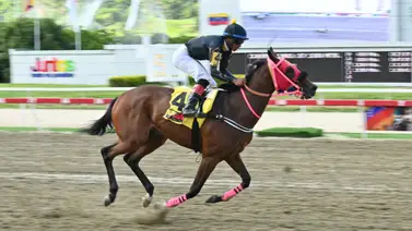 El robo de toda Venezuela: Te contamos por qué está yegua tiene las de ganar en la cuarta válida del 5y6 dominical El robo de toda Venezuela: Te contamos por qué está yegua tiene las de ganar en la cuarta válida del 5y6 dominical