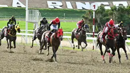 Atención: Conoce los nuevos montos en la premiación del hipódromo La Rinconada