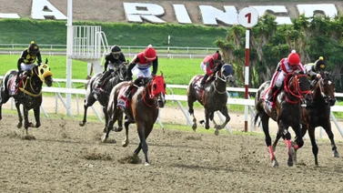 Atención: Conoce los nuevos montos en la premiación del hipódromo La Rinconada