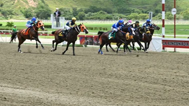 Datos de Última Hora para el Hipódromo La Rinconada 07-9-2025