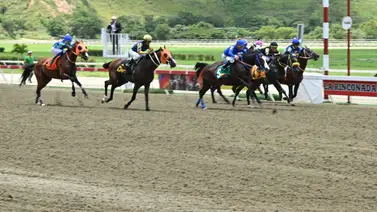 Datos de Última Hora para el Hipódromo La Rinconada 07-9-2025 Datos de Última Hora para el Hipódromo La Rinconada 07-9-2025