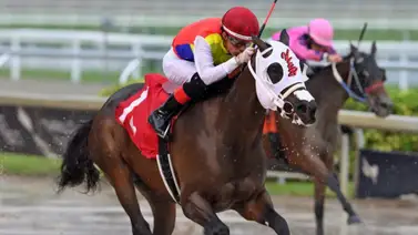 Dominio vinotinto en Florida: Esta yunta venezolana suma un triunfo en el inicio del Sunshine Meet Dominio vinotinto en Florida: Esta yunta venezolana suma un triunfo en el inicio del Sunshine Meet