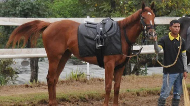 ¡Atención! Ha sido retirado uno de los datos más corridos de las carreras no válidas en La Rinconada