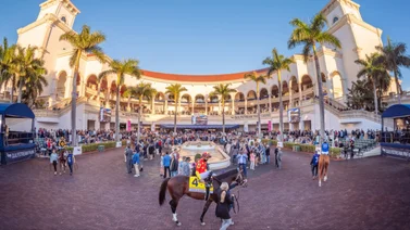 Por vía reglamentaria Luis Fuenmayor rompe la taquilla del óvalo de Gulfstream Park