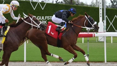 Emisael Jaramillo domina en Gulfstream Park y consigue un Grand Slam