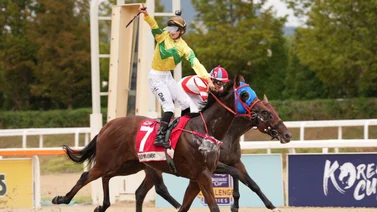 Ejemplar Self Improvement gana el Korea Sprint (G3) y asegura su pase para la Breeders’ Cup Sprint
