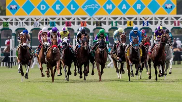 Mira cómo le fue al potro que costó $1.150.000 en su debut en Del Mar