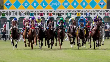 Mira cómo le fue al potro que costó $1.150.000 en su debut en Del Mar Mira cómo le fue al potro que costó $1.150.000 en su debut en Del Mar
