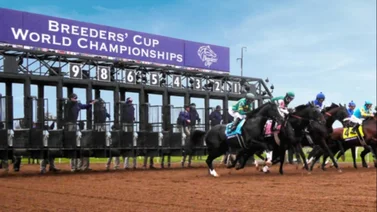 La emoción continua este fin de semana con las clasificatorias para la Breeders' Cup 