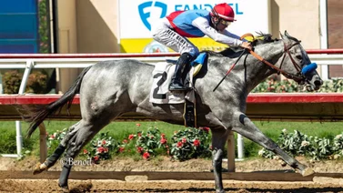 Potro que costó $3.000.000 se impone el Del Mar Futurity (G1)