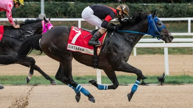 Diktatean se impone el Korea Cup (G1) y obtiene su cupo para la Breeders' Cup Dirt Mile