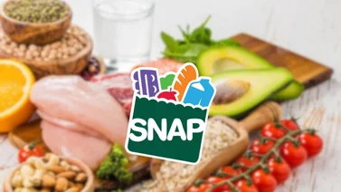 Calendario SNAP en Florida del 8 al 14 de septiembre ¿Quiénes serán los beneficiados?