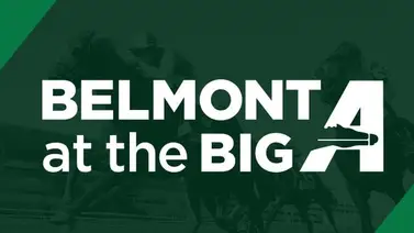 Esta semana regresa Belmont at the Big A con una bolsa de $9.45 millones a repartir entre 45 stakes  Esta semana regresa Belmont at the Big A con una bolsa de $9.45 millones a repartir entre 45 stakes