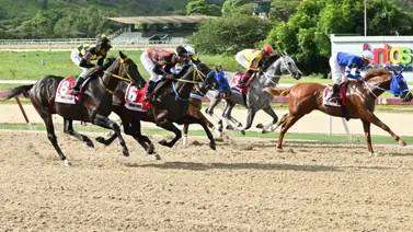 Con la mira en la selectiva: Hermana de un figurador de Grado 1 corre su primera carrera en La Rinconada Con la mira en la selectiva: Hermana de un figurador de Grado 1 corre su primera carrera en La Rinconada