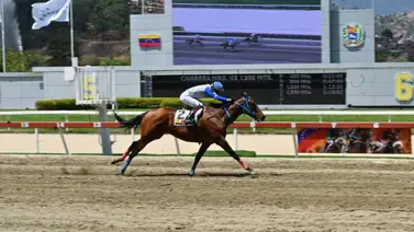 La pregunta del millón: Esta yegua podrá repetir triunfo tras casi seis meses de ausencia La pregunta del millón: Esta yegua podrá repetir triunfo tras casi seis meses de ausencia