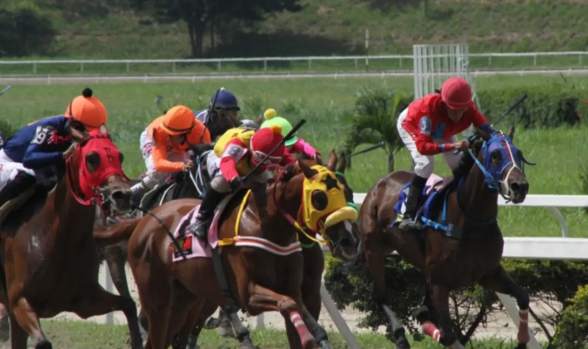 José Francisco D’Angelo: “El 2025 fue un año de ensueño con las dos Breeders’ Cup