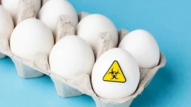Retiro urgente de huevos contaminados: FDA advierte sobre riesgos para la salud