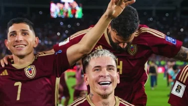Artistas venezolanos apoyan a La Vinotinto en su sueño mundialista 