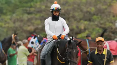 Pronóstico hípico: Oliver Medina y sus dos yeguas que son las favoritas para el 5y6 de este domingo Pronóstico hípico: Oliver Medina y sus dos yeguas que son las favoritas para el 5y6 de este domingo