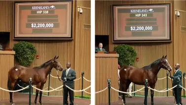 Keeneland bate récords durante la segunda sesión de la subasta de yearlings el martes Keeneland bate récords durante la segunda sesión de la subasta de yearlings el martes