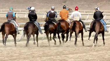 Conozca la razón del retiro de esta nieta de Tapit en la tercera válida para el 5y6 de la R35 Conozca la razón del retiro de esta nieta de Tapit en la tercera válida para el 5y6 de la R35