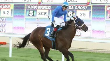 Harry Hernández nativo de Puerto Rico gana cuatro stakes en el festival de Minnesota Harry Hernández nativo de Puerto Rico gana cuatro stakes en el festival de Minnesota