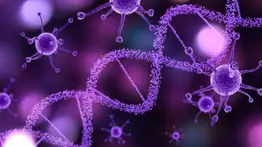 El hallazgo de la "caja negra" del cáncer: Un avance significativo para tratar la enfermedad