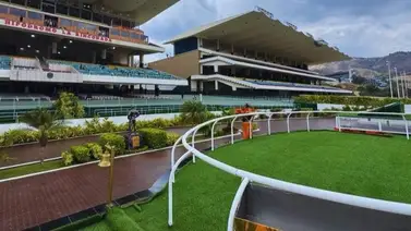 El ansiado triunfo: Esta yunta va por su primera victoria en La Rinconada El ansiado triunfo: Esta yunta va por su primera victoria en La Rinconada