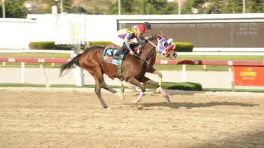Gran chance en La Rinconada: Yegua que no gana en más de un año tiene una oportunidad de oro Gran chance en La Rinconada: Yegua que no gana en más de un año tiene una oportunidad de oro