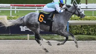 Jinete venezolano logra Hat-trick en este circuito estadounidense  Jinete venezolano logra Hat-trick en este circuito estadounidense