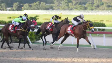 ¿Buscas alternativas diferentes a Money Wise y Mi Consentida? ¡Descubre el gran batacazo de la tarde aquí! ¿Buscas alternativas diferentes a Money Wise y Mi Consentida? ¡Descubre el gran batacazo de la tarde aquí!