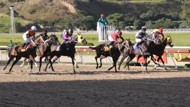 Más allá de los favoritos: Los caballos con más fuerza en La Rinconada para la R35 Más allá de los favoritos: Los caballos con más fuerza en La Rinconada para la R35